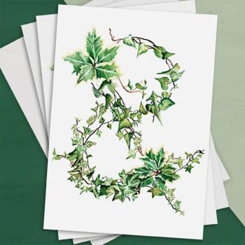 Paquets de cartes de Noël Holly & The Ivy 4