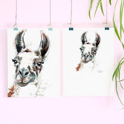 Inky Llama Luxury Giclee Unframed Print