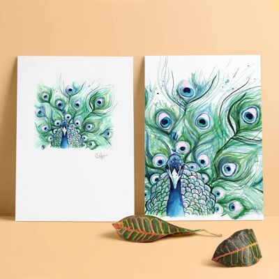 Inky Peacock Luxury Giclee Unframed Print