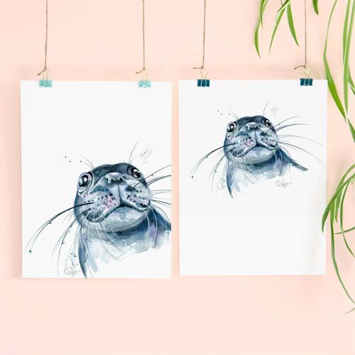 Inky Seal Luxury Giclee Unframed Print
