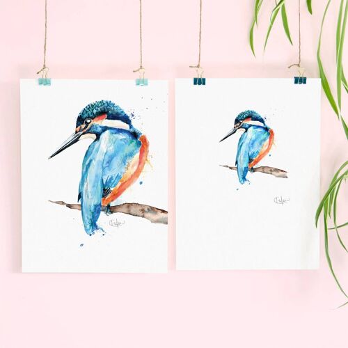 Inky Kingfisher Luxury Giclee Unframed Print