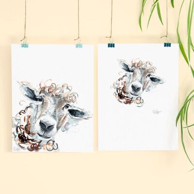 Inky Sheep Luxury Giclee Unframed Print