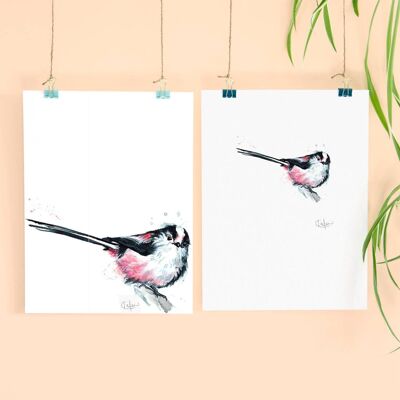 Inky Long Tailed Tit Luxe Giclée Impression Sans Cadre
