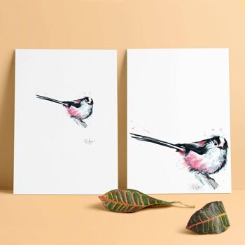 Inky Long Tailed Tit Luxe Giclée Impression Sans Cadre 3
