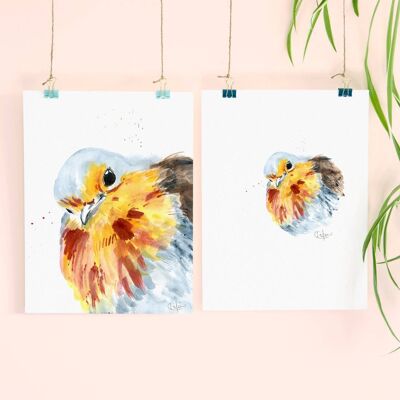 Inky Robin Luxury Giclee Unframed Print