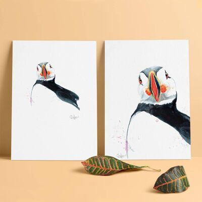 Inky Puffin lusso stampa giclée senza cornice