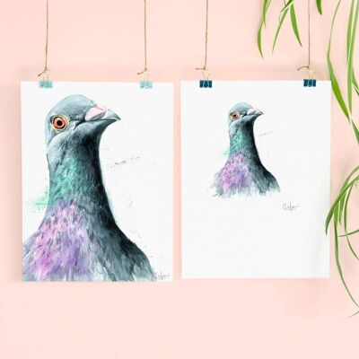Inky Pigeon Luxury Giclee Unframed Print