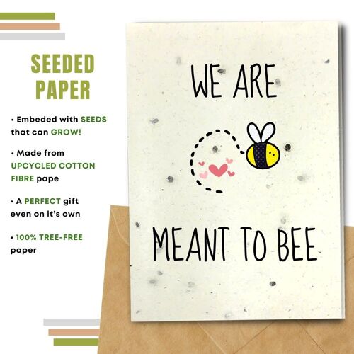 Plastic Free Greeting Card, Meant to Bee Pack Of 8