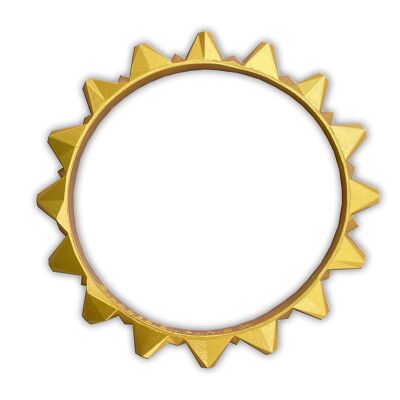 Interchangeable golden ring for MODULES