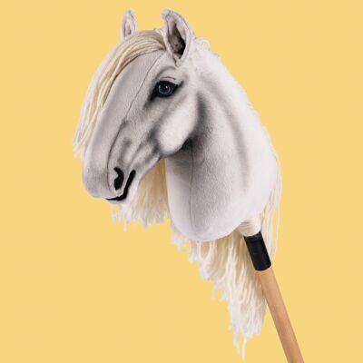 Cavallo da hobby Finnhorse "Fleur de sel" - M Allround
