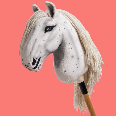 Caballo Appaloosa "Encanto" - M Allround