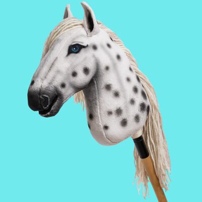 Caballo Appaloosa "Skysong" - M Allround