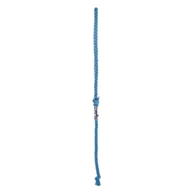 Lead rope for hobby horses, Turquoise