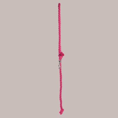 Lead rope for hobby horses, Pink