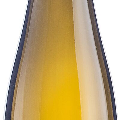 Grüner Veltliner Schneiderberg 2023