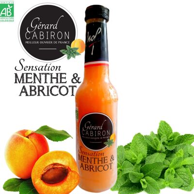 Sensation BIO Abricot-Menthe