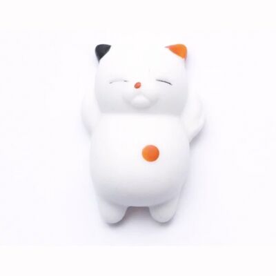 Mini Kawaii Katze matschig