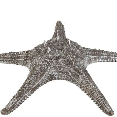 estrella de mar resina gris/plateado
