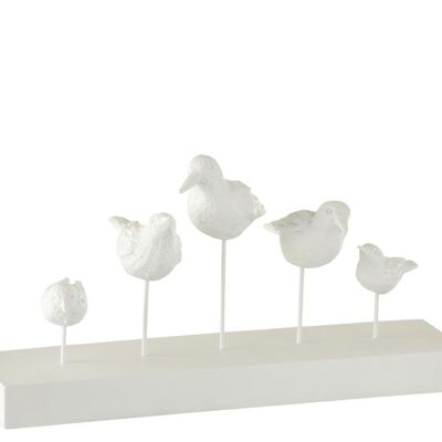 5 aves de pie poli blanco