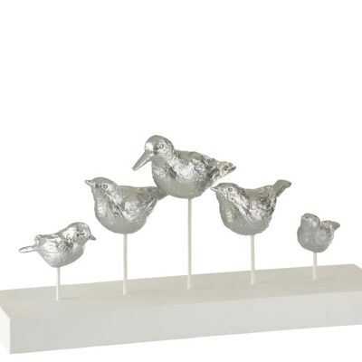 5 aves de pie poli plata