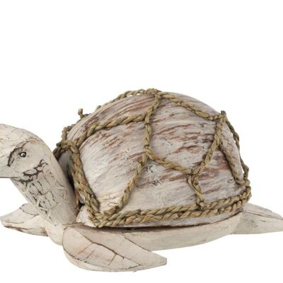 tortuga coco/alabasia madera blanco