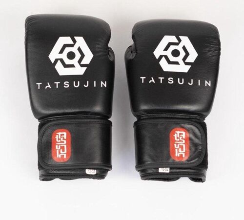 Tatsujin kickboxing gloves